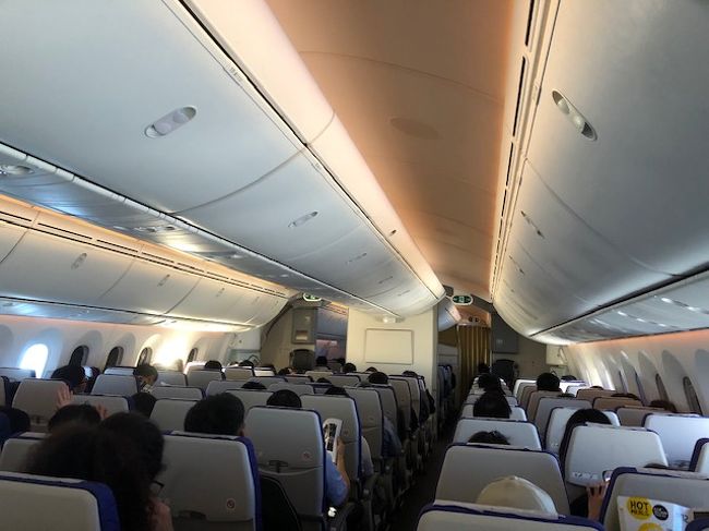 SCOOTのチェックインは担当者にもよりますが外資系なマニュアルチックな<br />毎度のご対応。見るからに重さのないト－トバッグまで秤に乗せろと。<br /><br />搭乗口の整列指示やらもかなり上からな感じ。正直感じわりいの。<br />が3.5時間フライトとなりますと787機材は他のLCCよりは疲労感が少ないのでSCOOTの選択になっちゃいます。トランスアジアがNo1だったのに・・。<br /><br />本日の搭乗率は7割。隣席が空席で楽チンでした。<br />シートピッチもチャ○ナ系のレガシーより広い。<br />定刻より早く桃園国際空港到着。イミグレもスイスイ。<br />ここはSCOOT様様です。