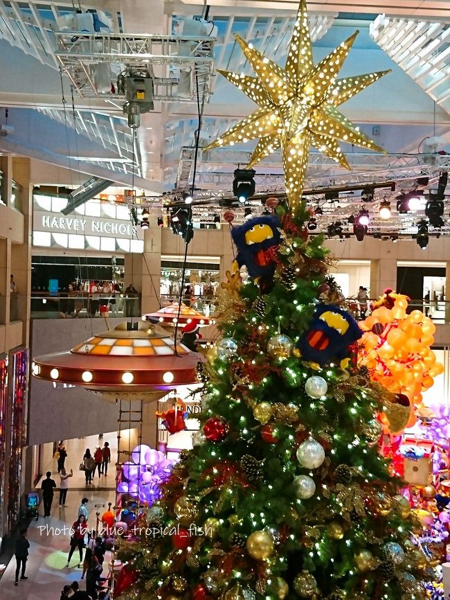 クリスマスツリー！