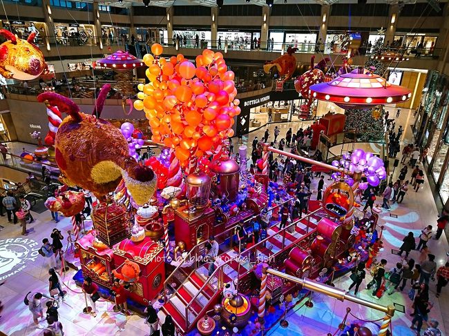 上からも見てみました。すごいですよね、遊園地みたい。