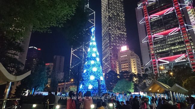 The Statue Squareのクリスマスツリーを見に行きました。<br /><br />〇　The Statue Square　皇后像廣場