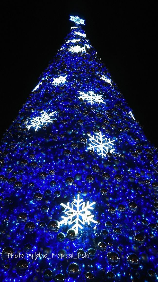 沢山の人がこのクリスマスツリーと写真を撮っていました。