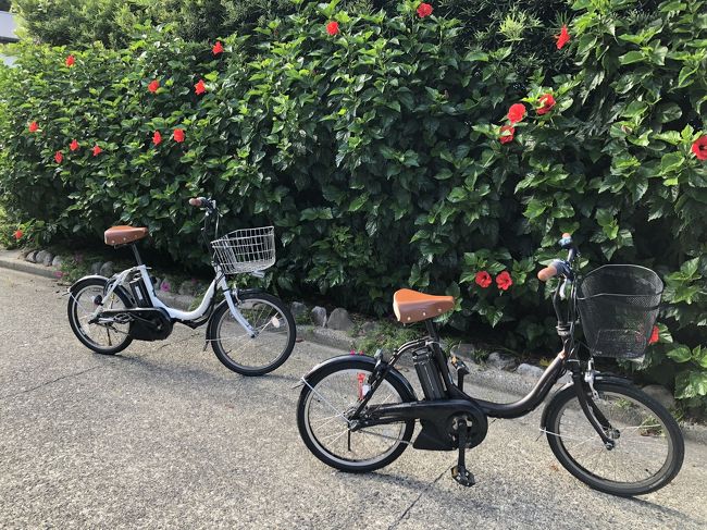 伊豆 七島 自転車