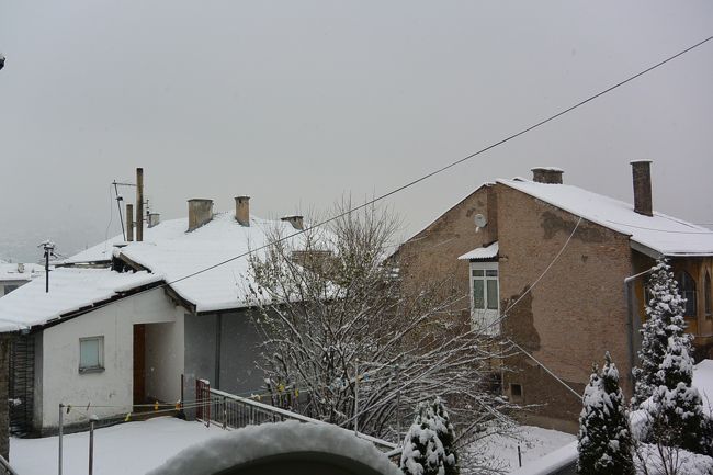 朝起きたら雪が積もっていました。