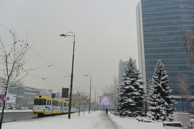 雪のスナイパー通りをぶらぶら。