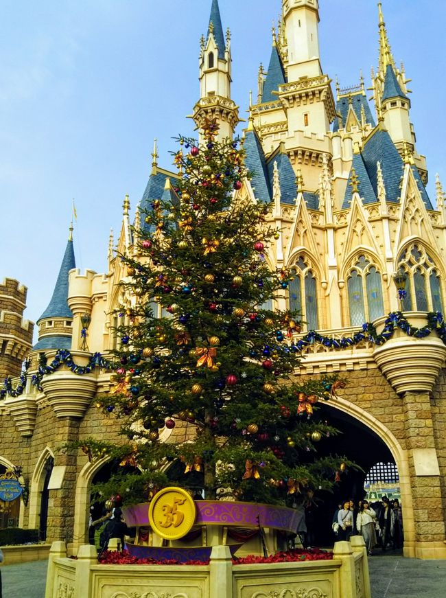 ディズニーランド　35周年　クリスマスオーナメント クリスマスコレクション オーナメントセット 東京ディズニー