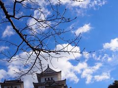 桜の花が咲いていたらどんなに綺麗なんだろう。
ゆっくり城を眺めながら少しずつ近づいてきました。
はの門の手前くらいかな。