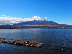 山中湖で富士山を眺めながらまったり。「長池親水公園」に車を停めて散歩しようと思ったら、遠くに白鳥の姿が見えたのでそちらに行ってみることに。
