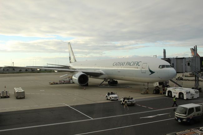 今回は初めてのキャセイパシフィック航空です。<br />確か14万ぐらいだったので、つくづく去年のノルウェーは安すぎたなと実感。なんであんなに安かったんやろ。