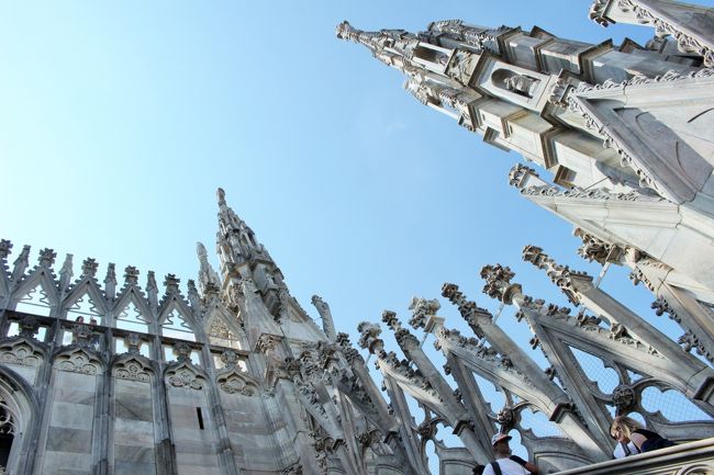 ちょっとした林にいるような気分になりますね。不思議だー。