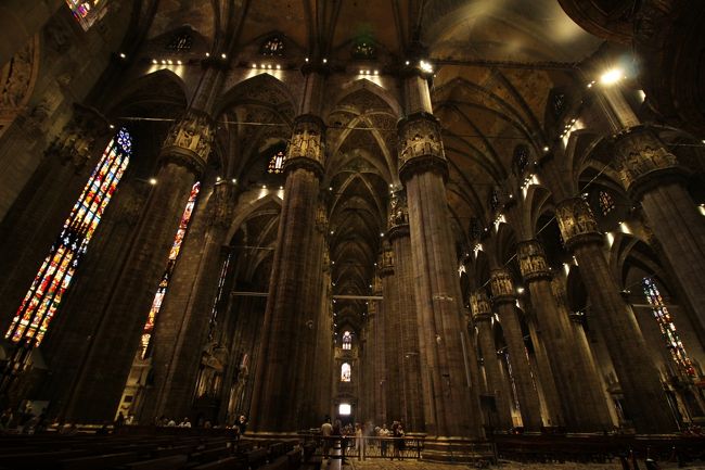 とっても天井が高く、巨木に囲まれた森の中にいるような感覚。