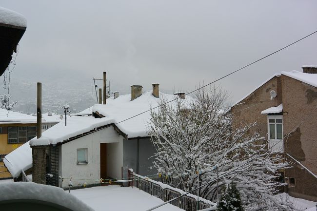 2日間雪が降り続いて真っ白です。