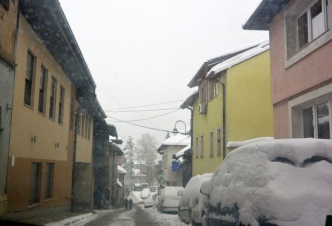 雪の中、車で買い物へ。