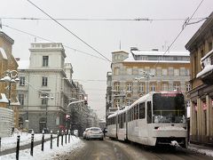 Mula mustafe baseskije