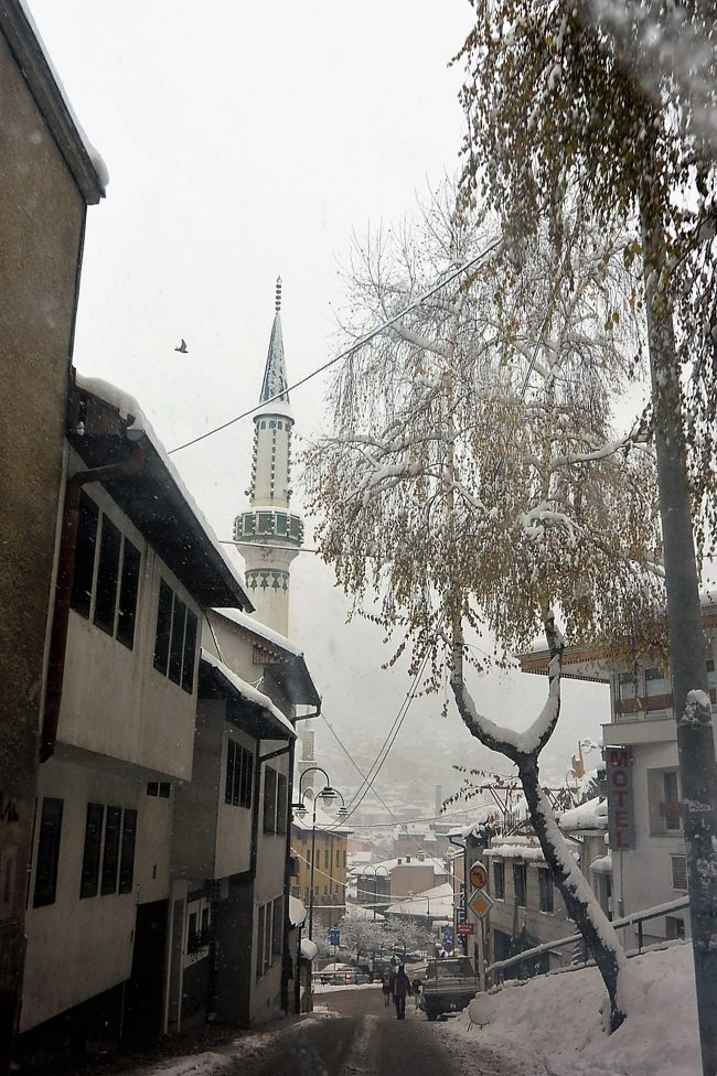 雪の中、車で買い物へ。