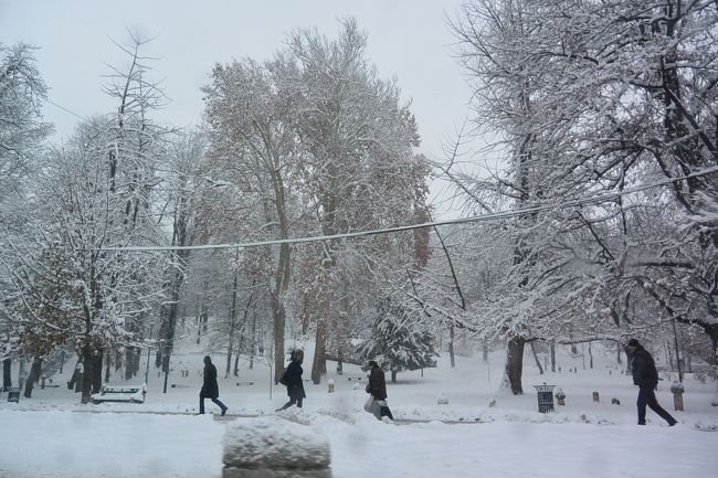 チトー通りの公園も雪で真っ白。