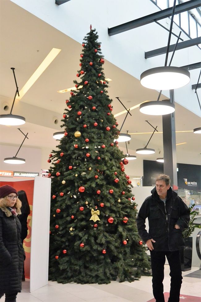 スロベニア系スーパー『Mercator』にも大きなツリーが出ていました。