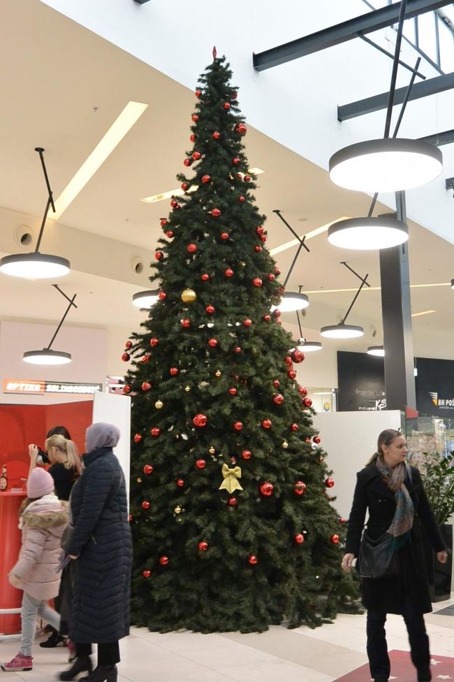 スロベニア系スーパー『Mercator』にも大きなツリーが出ていました。
