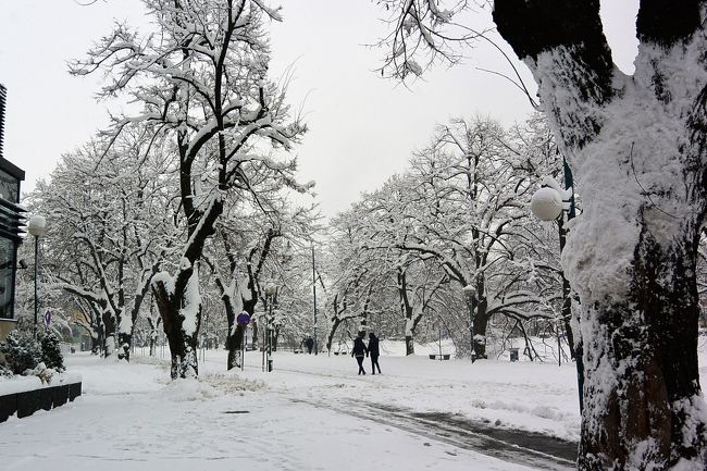 ミリャツカ川沿いの遊歩道も真っ白。