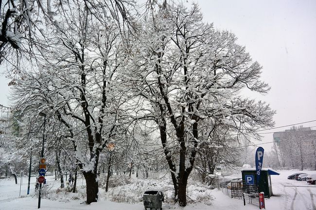 ノボテルの中のカフェ『CAFE BRISTOL』からの眺め。<br /><br />まだまだ雪が降り続いています。