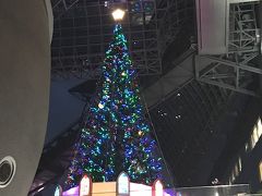 京都駅に戻ったころは真っ暗に～
クリスマスツリーが綺麗でした。駅で家族にお土産を買って帰途につきました。
来年は１泊してライトアップが見たいな～
いろいろお寺に行きましたが、観光客の少ない紅葉の綺麗なお寺は探せばある！というのが実感でした。定番のお寺だけではなくて、自分の足で大好きなお寺を見つけるのも良いですよね?