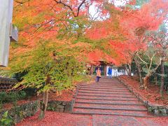 来たかった安楽寺