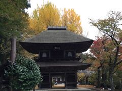 広徳寺に紅葉を見にやってきた。