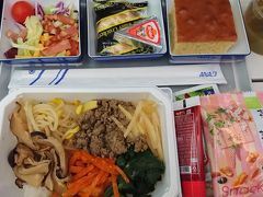 飛行機での移動