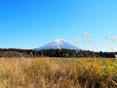 「道の駅朝霧高原」からの富士山