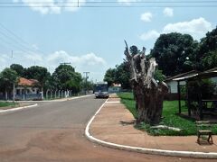 【マトグロッソ・ド・スゥ州（Mato Grosso do Sul）のカンポグランデを訪問】

以下、2019.4.5現在、Nikkey Shimbunより参考。

.....ブラジルに和牛農家は25軒ほどあり、純血腫が約７千頭で、混血種が三万頭。700頭～1000頭を保有するヤクルトやケンスタールがサンパウロの業界最大手.....霜降りど度合いを示す牛脂肪交雑基準（BMS）は、1～12番に分類されており、１２番が最上級。ブラジル和牛は９番前後......日本では約28ヶ月のうち960kg程度まで育つが.......ブラジルでは、30ヶ月で780kgがやっと......和牛は母体にいる時から大切にされ、生まれてからも親と一緒に育つ。子牛は感染症や寒冷に弱く、群れに混ぜると喧嘩になってストレスを溜めてしまう.....」

.......なので、手は掛かる＝コストが掛かる......となってしまうんです........


