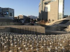 東大門まできたのに収穫なし。

せっかく東大門まで来たので、目の前に飛び込んでくるザハさんデザインのDDPでも見て帰ろうかな。