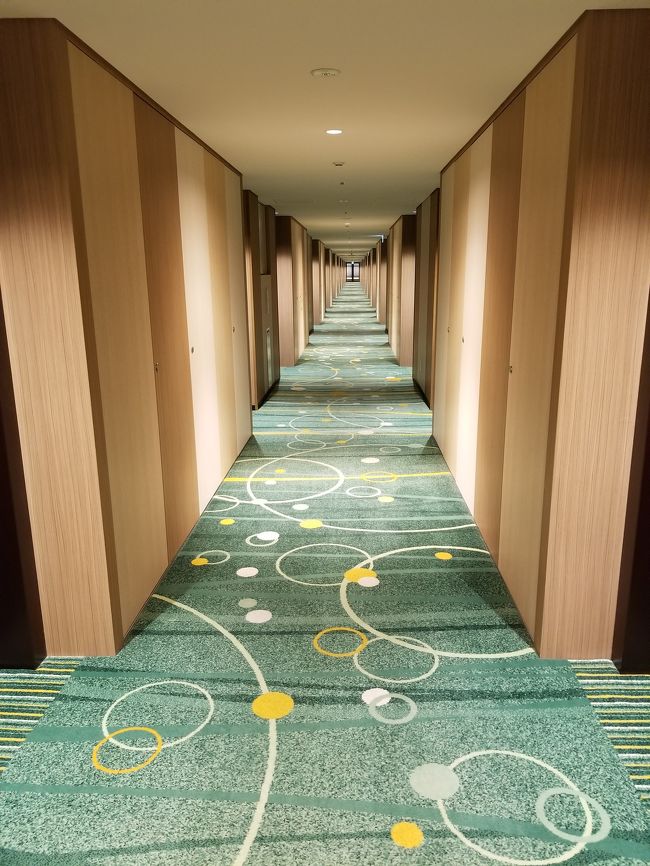 ホテルの廊下です。<br />全室禁煙で、自動販売機や喫煙所はこの廊下の一番奥を1階に降りたところにありました。