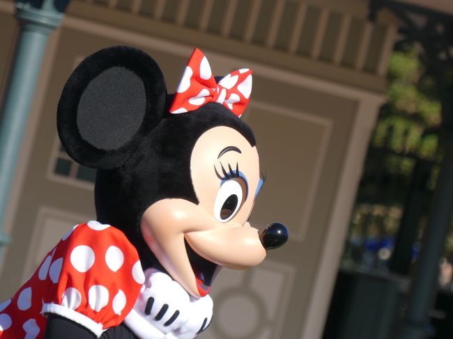 手袋は後回しに、写真の列に急いで並びました。<br /><br />ミニーちゃんに恋して34年。