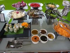 サラダや生春巻きなど。