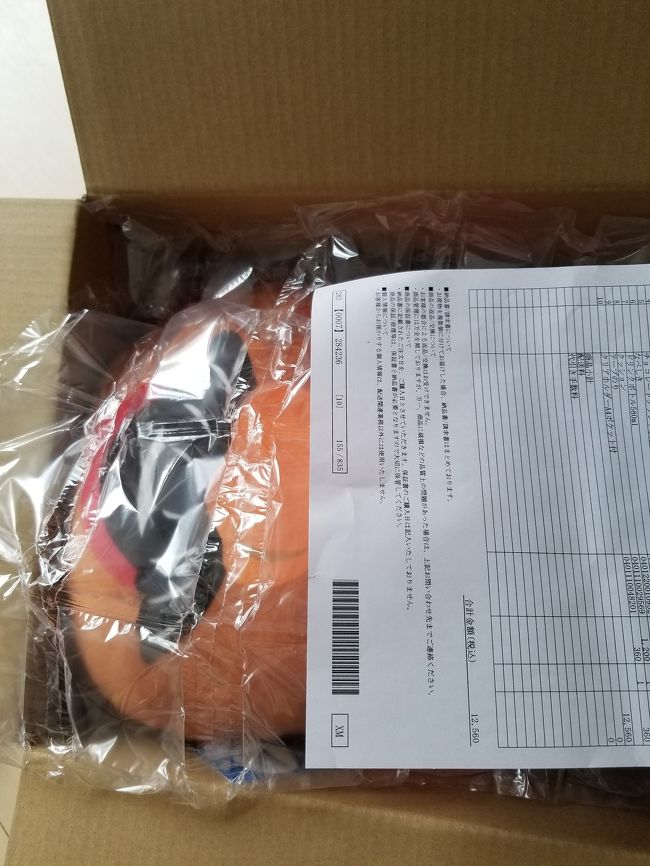 こんな感じで明細書もきちんと入ってます。<br /><br />緩衝材もしっかり入っているので割れずに届きました♪♪<br /><br />こんな感じで簡単な旅行記はおしまいです。