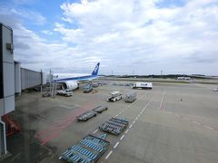 無事に成田空港に到着しましたよ。