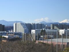 翌朝、8時起床。真っ白な富士山！