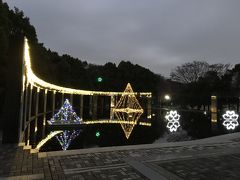 きらめきの池

パルテノン多摩の階段の上にありますが、ライトアップ時期にここまで来たことはありませんでした。