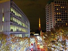 今まで見てみたいと思いつつもなかなか機会がなく、この日まで延び延びとなっていた。

初めて見る、けやき坂のイルミネーション。
東京タワーを正面に見る最高のロケーション…なのだが、私の頭の中のイメージと何かが違う。
ホームページなどの写真は光の色がもう少し青みがかっていた様な気がしたので、その場でネットを再チェックすると、やはり写真の電飾の色が実際に目で見る色よりも少し青みがかっている。

目の前の光の色は確かに青っぽくはあるが、白の輝きが強い。
このままでも美しいのだが、ちょっとカメラの色調をいじってみると…。
