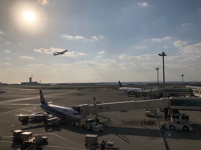 最終日のフライトは17：40発。<br /><br />時間が潰せません・・。<br />早目に那覇空港本ターミナルで飛行機見学。<br /><br />石垣ロイズのチョコやらクッキーをお買い上げ。<br />ＡＮＡカード提示で10％オフになりました。