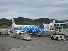 那覇空港から、ジンベエザメのジェット機に乗って石垣島に行きました。