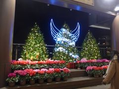 横浜ワールドポーターズのクリスマスツリー