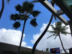 7時間のフライト、約1時間の入国手続きに耐えた末、待ち望んだハワイの空がお出迎え！