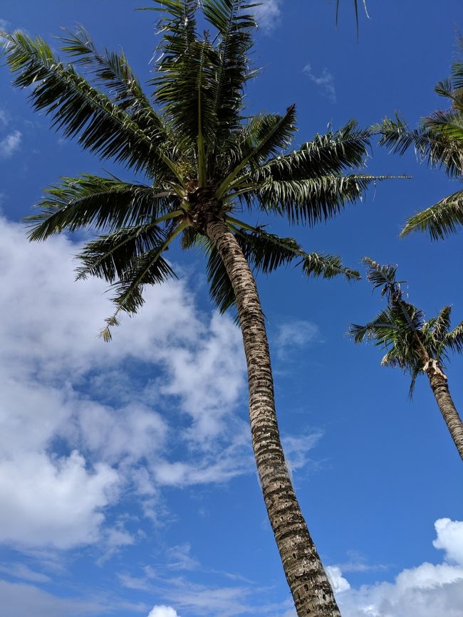この日は良い天気で良かったです