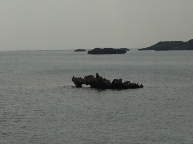 18年12月 クーポンフル活用して宮古島の旅 １ 2 宮古島 沖縄県 の旅行記 ブログ By たんきちさん フォートラベル