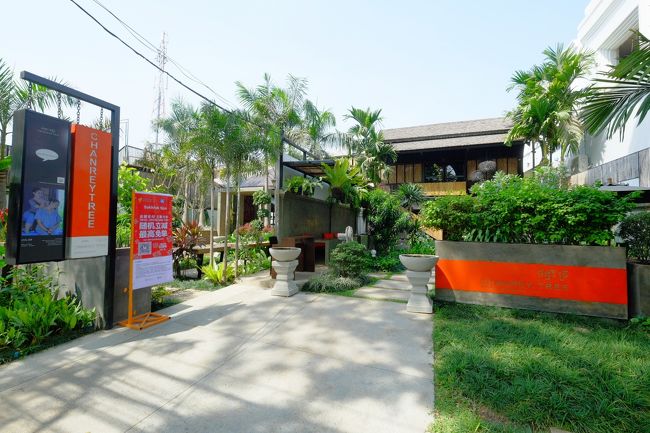 LUNCHはTVで見た「チャンレイツリー」へ。<br />ベッカムが来店したときの写真が飾ってあります。