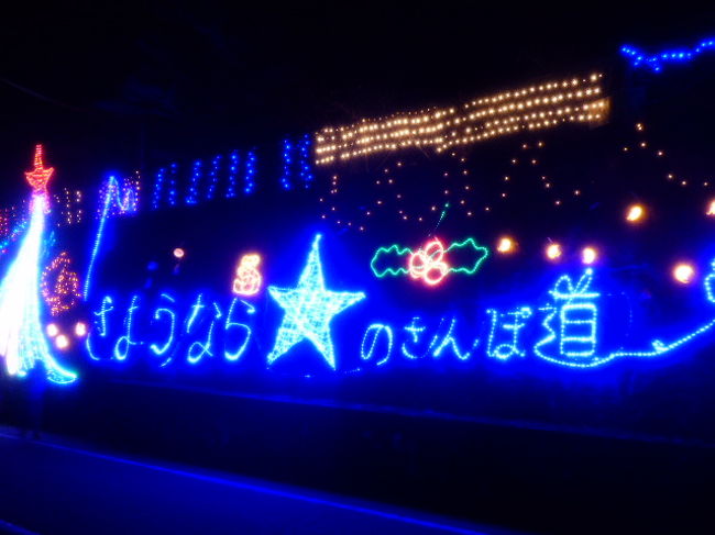 今季が最後 星のさんぽ道 鹿児島県の旅行記 ブログ By さつまおごじょさん フォートラベル