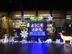 空港はクリスマスっぽいイルミネーションが飾られていました。