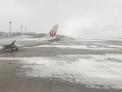 函館到着。天気予報では晴れなのに…雪ですよ雪！！
ボーディングブリッジを通るときも隙間から冷気が…