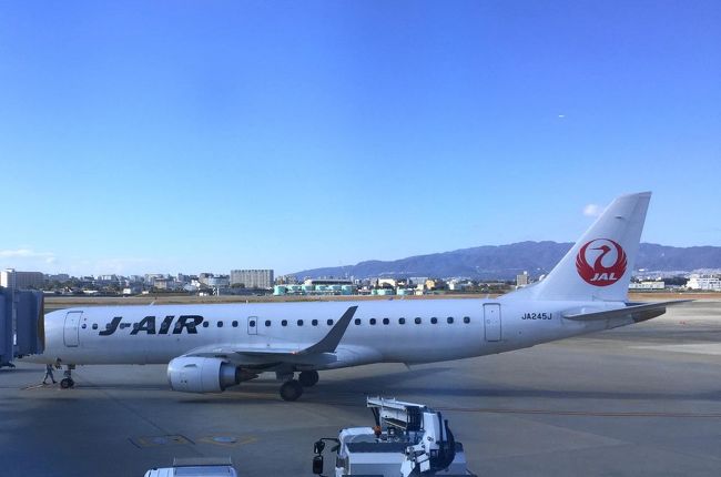 新潟の旅 鮭づくしと温泉三昧 新潟県の旅行記 ブログ By 夏ミカンさん フォートラベル