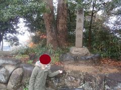  城山八幡宮は織田信長の父である織田信秀によって築城された末森城の跡にあります。